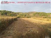 辽宁省,朝阳市,龙城区,半拉山街道,半拉山村
