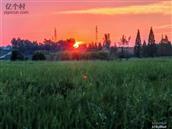 浙江省,金华市,婺城区,琅琊镇,琅琊滕村