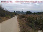 辽宁省,朝阳市,龙城区,半拉山街道,半拉山村