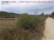 辽宁省,朝阳市,龙城区,半拉山街道,半拉山村