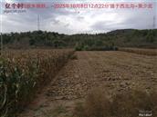 辽宁省,朝阳市,龙城区,半拉山街道,半拉山村