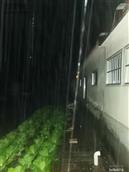 山东省,烟台市,莱州市,平里店镇,柳行村