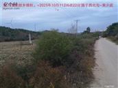 辽宁省,朝阳市,龙城区,半拉山街道,半拉山村