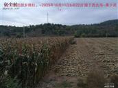 辽宁省,朝阳市,龙城区,半拉山街道,半拉山村