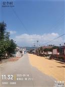 果园村 村委会，村大道，五队古庙