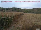 辽宁省,朝阳市,龙城区,半拉山街道,半拉山村