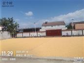 果园村 村委会，村大道，五队古庙