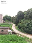 云桂村 
