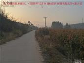 辽宁省,朝阳市,龙城区,半拉山街道,半拉山村