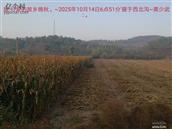 辽宁省,朝阳市,龙城区,半拉山街道,半拉山村