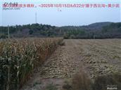 辽宁省,朝阳市,龙城区,半拉山街道,半拉山村