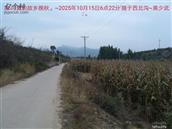 辽宁省,朝阳市,龙城区,半拉山街道,半拉山村