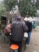 山东省,烟台市,莱州市,平里店镇,大沟崖村