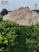 安徽省,安庆市,宜秀区,罗岭镇,花元村