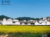 广东省,揭阳市,揭东区,埔田镇,莲花心村