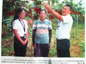 四川省,广元市,昭化区,元坝镇,青梅路