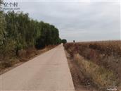 内蒙古,呼和浩特市,土默特左旗,北什轴乡,新营子村