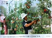 山西省,运城市,临猗县,北辛乡,东卓村