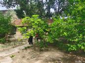 山东省,烟台市,莱州市,平里店镇,柳行村