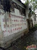 湖北省,武汉市,黄陂区,长轩岭街道,院子村