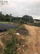 广东省,广州市,增城区,小楼镇,黄村