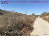 辽宁省,朝阳市,龙城区,半拉山街道,半拉山村