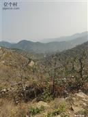 山东省,淄博市,沂源县,燕崖镇,东白峪村