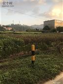 广东省,广州市,增城区,小楼镇,黄村