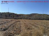 辽宁省,朝阳市,龙城区,半拉山街道,半拉山村