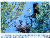 山西省,晋中市,左权县,石匣乡,赵家庄村