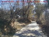 辽宁省,朝阳市,龙城区,半拉山街道,半拉山村