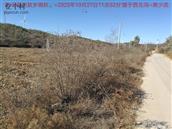 辽宁省,朝阳市,龙城区,半拉山街道,半拉山村