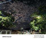 甘肃省,庆阳市,环县,南湫乡,洪涝池村