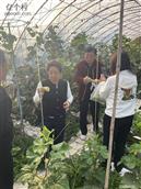 后杨木林子村 和杨木林子老乡聚欢