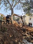 湖北省,孝感市,孝昌县,小河镇,堰口村