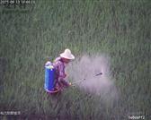 湖南省,邵阳市,隆回县,滩头镇,祝家村