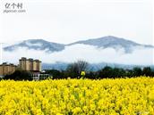 陕西省,汉中市,南郑区,协税镇,徐坡村