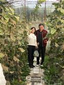 后杨木林子村 和杨木林子老乡聚欢