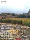 河北省,张家口市,涿鹿县,大堡镇,下洗马村