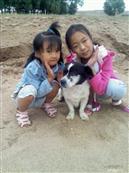 内蒙古,包头市,达尔罕茂明安联合旗,小文公乡,黄合少村