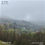 甘肃省,陇南市,成县,沙坝镇,桦树村