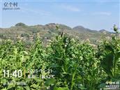 山东省,临沂市,沂水县,崔家峪镇,胡同峪村