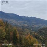 甘肃省,陇南市,成县,沙坝镇,桦树村