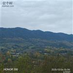 甘肃省,陇南市,成县,沙坝镇,桦树村