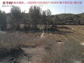 辽宁省,朝阳市,龙城区,半拉山街道,半拉山村