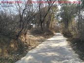 辽宁省,朝阳市,龙城区,半拉山街道,半拉山村