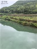 河南省,南阳市,淅川县,仓房镇,磨沟村