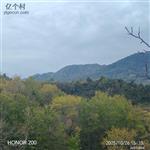 甘肃省,陇南市,成县,沙坝镇,桦树村