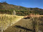 吉林省,通化市,集安市,大路镇,大阳岔村