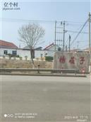 山东省,滨州市,无棣县,柳堡镇,杨庄子村